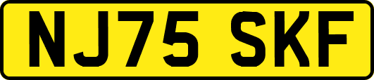 NJ75SKF