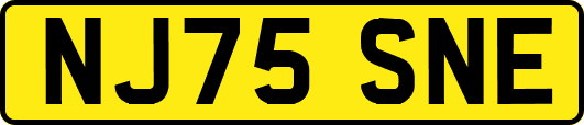 NJ75SNE