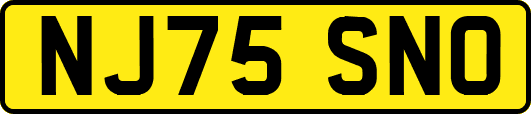 NJ75SNO