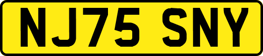 NJ75SNY
