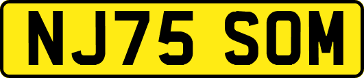 NJ75SOM