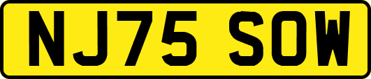 NJ75SOW