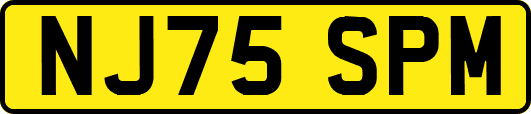 NJ75SPM
