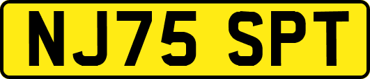 NJ75SPT