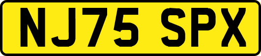 NJ75SPX