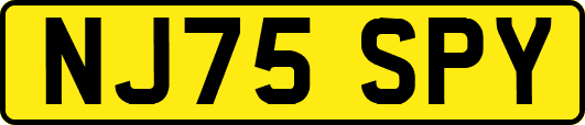 NJ75SPY