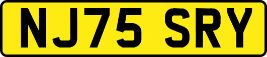 NJ75SRY