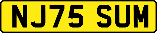 NJ75SUM