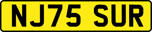 NJ75SUR