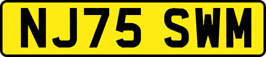 NJ75SWM