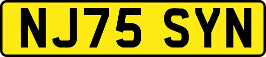 NJ75SYN