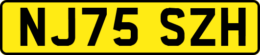 NJ75SZH