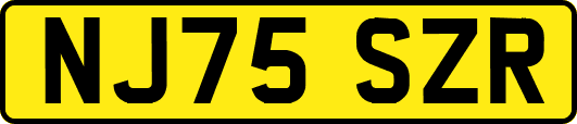 NJ75SZR