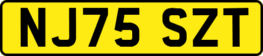 NJ75SZT