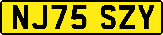 NJ75SZY