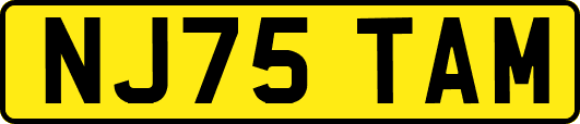 NJ75TAM