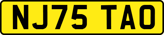 NJ75TAO