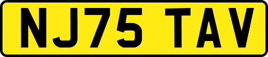 NJ75TAV
