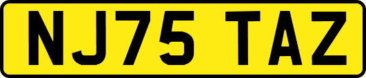 NJ75TAZ