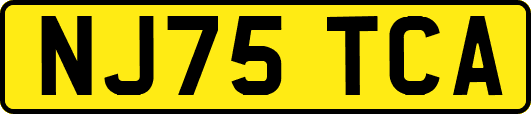 NJ75TCA