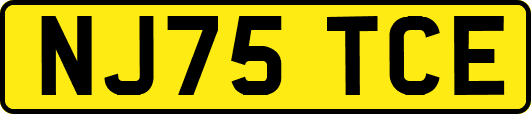 NJ75TCE
