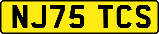 NJ75TCS