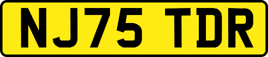 NJ75TDR