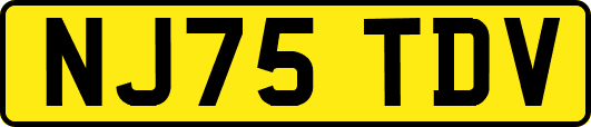 NJ75TDV