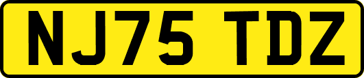 NJ75TDZ