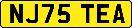 NJ75TEA