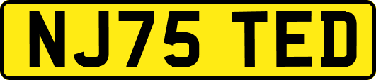 NJ75TED