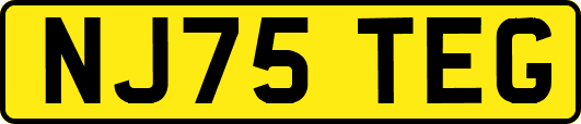 NJ75TEG
