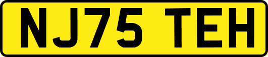 NJ75TEH