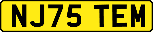 NJ75TEM