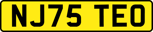 NJ75TEO