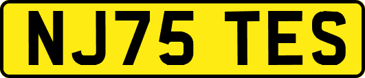 NJ75TES