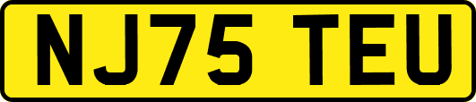 NJ75TEU