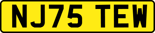 NJ75TEW