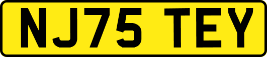 NJ75TEY