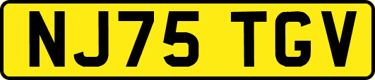 NJ75TGV