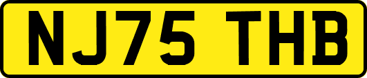 NJ75THB