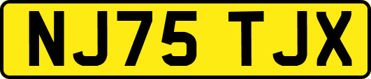 NJ75TJX