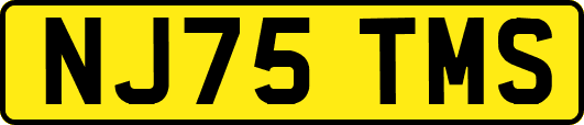 NJ75TMS