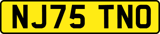 NJ75TNO