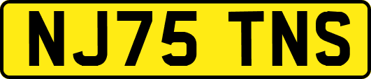 NJ75TNS