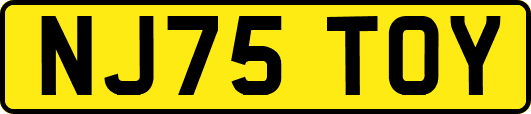 NJ75TOY