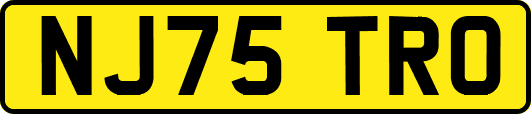 NJ75TRO