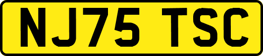 NJ75TSC