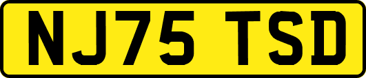 NJ75TSD