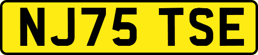 NJ75TSE